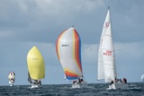 hot toddy 9797y lemarac 4040c mayrise gbr8856ywhyw22 thur 750_4324yi